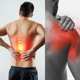 Back & Neck & Shoulder