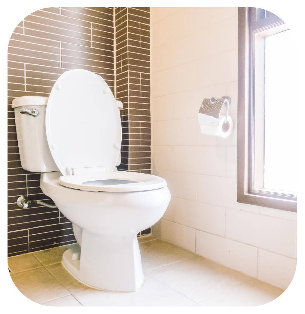 Urinals & Toileting Aids