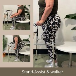 Walking Frame & Stand-Assist, from seated to standing