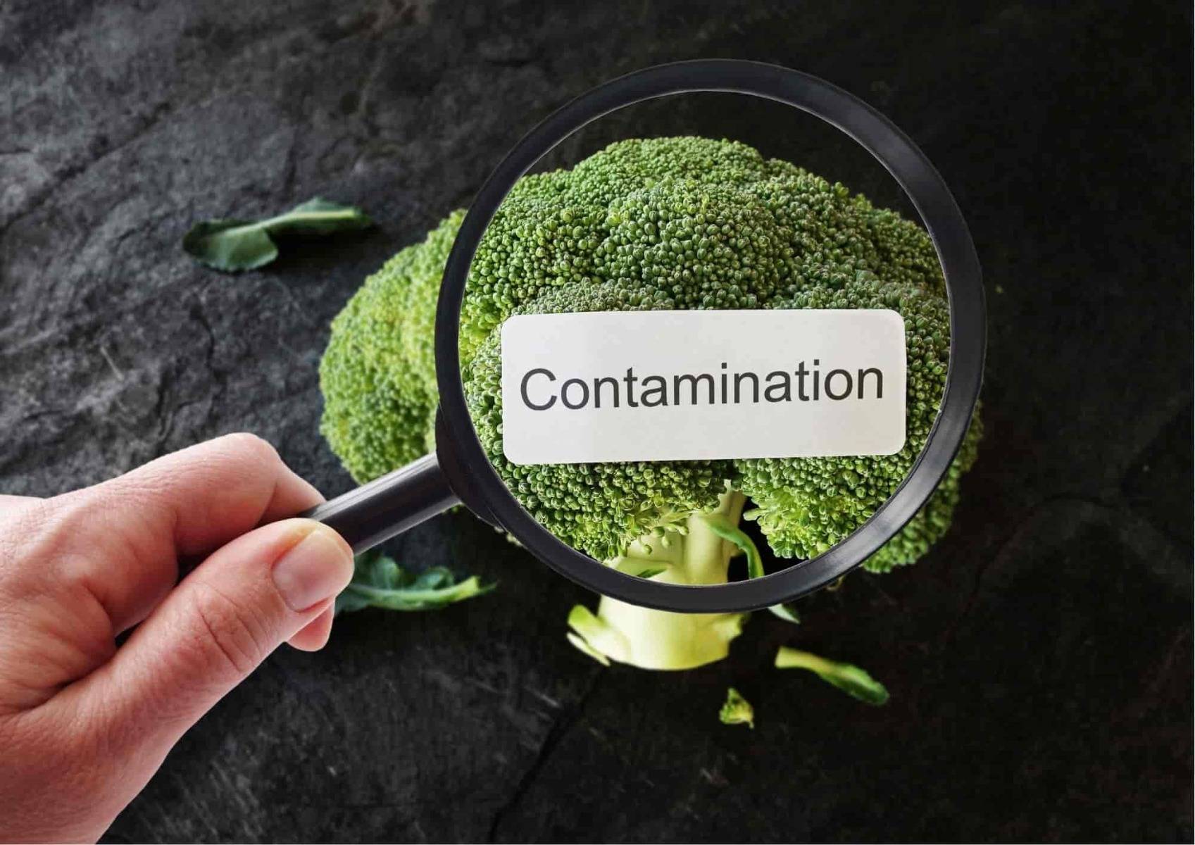 Food contamination and coronavirus_bettercaremarket