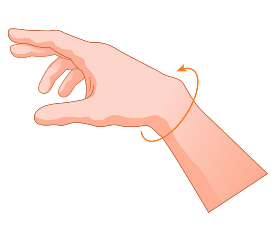 Thermic Wrist Support - measurement aroud the wrist
